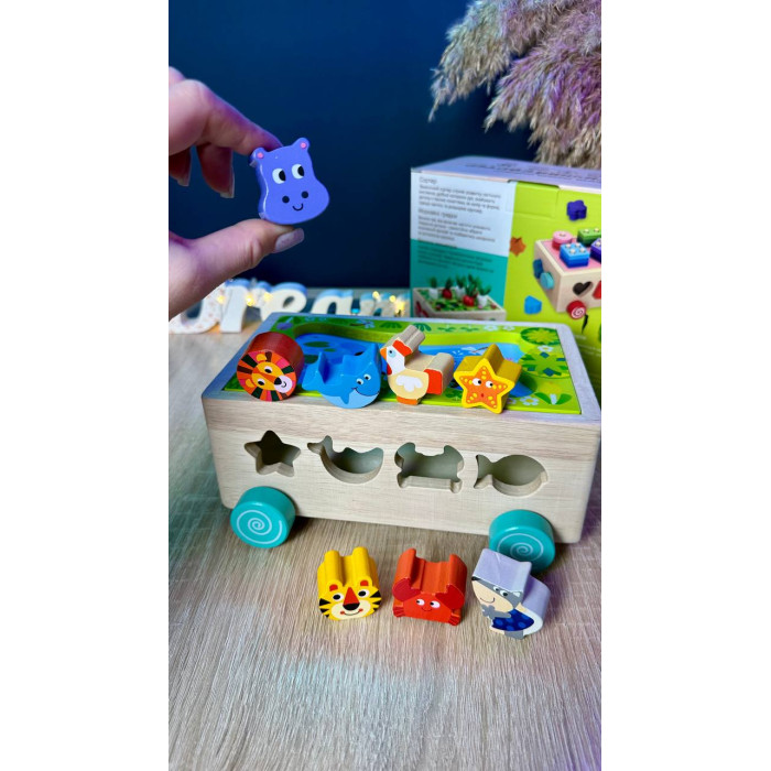 Каталка логічна 22995 WToys деревяна 3 в 1 сортер 1 тематична гра каталка на коліщатах WToys
