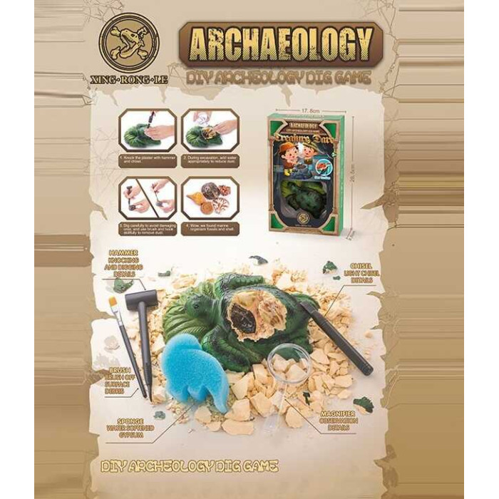 Раскопки 129-57 гипсовый блок окаменелости ракушки инструменты в коробке
