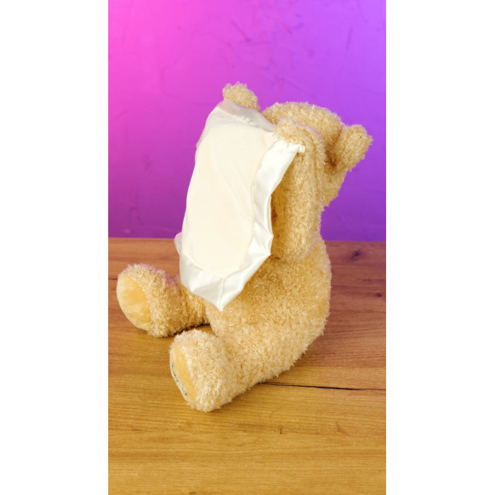 Інтерактивний ведмідь Веселі хованки ТК - 77107 TK Group ОЗВУЧУВАННЯ УКРАЇНСЬКОЮ МОВОЮ говорить грає у хованки TK Group